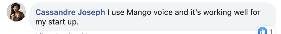 mango-review